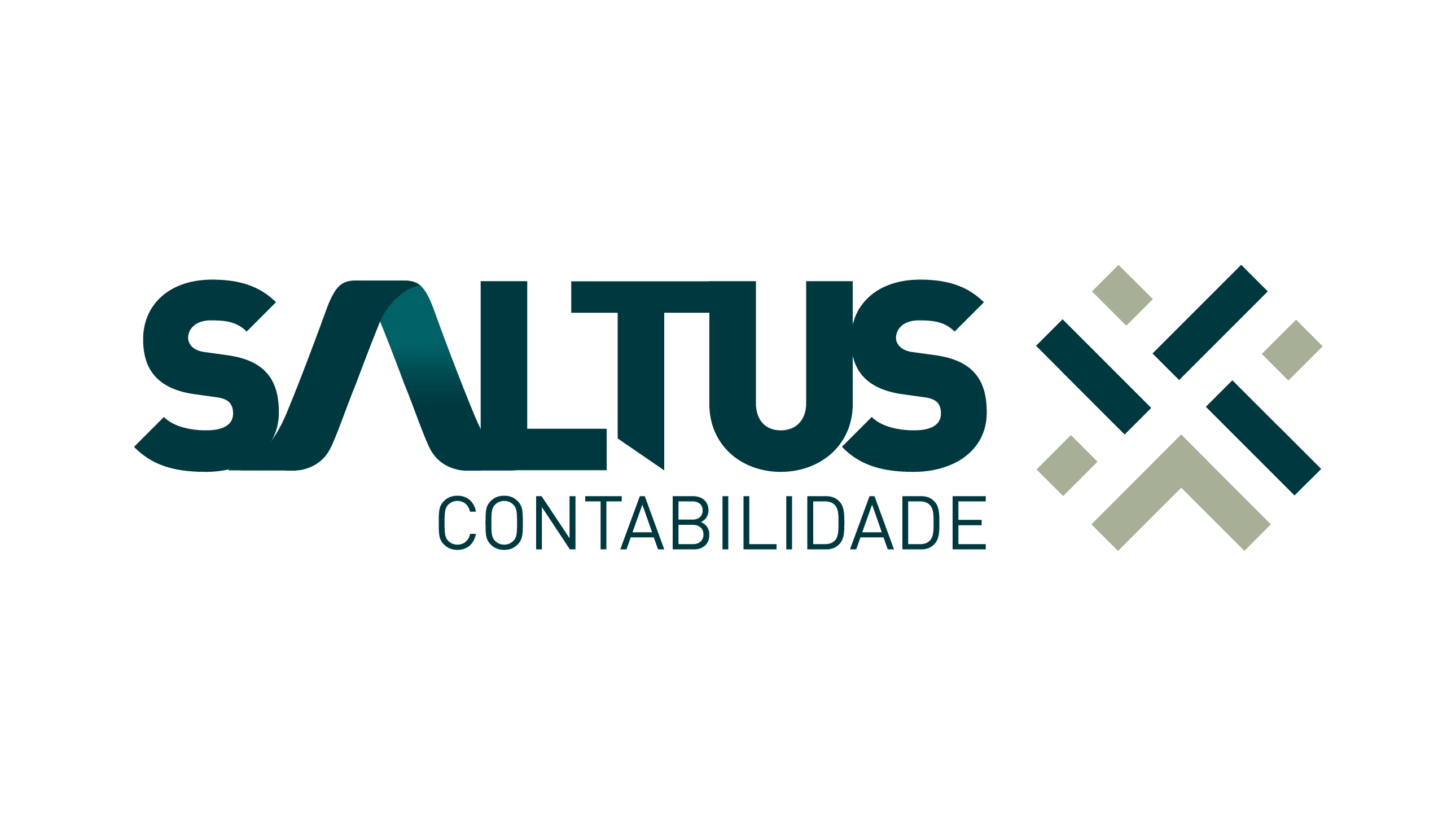 Imagem portifolio Saltus Contabilidade
